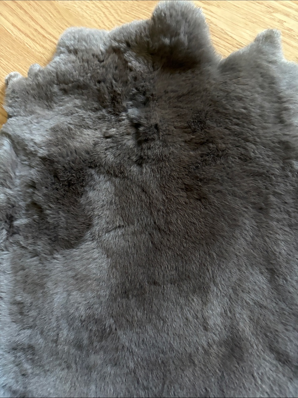 B0090 Rex rabbit hide - Picture 3 of 3